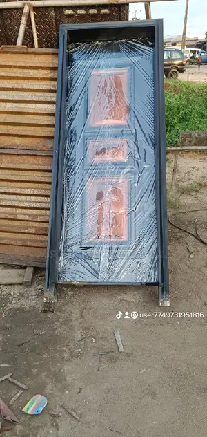 Professional Security Door