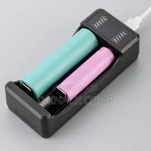 USB Lithium Battery Charger With LED Indicator