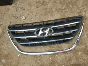 Front Grill and Bumper Chrome