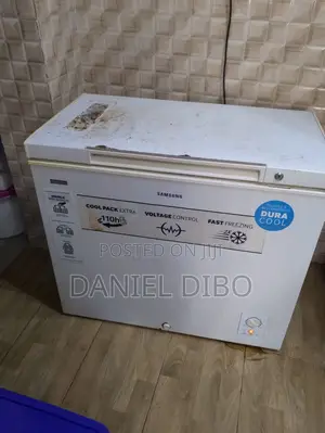 Samsung Freezer