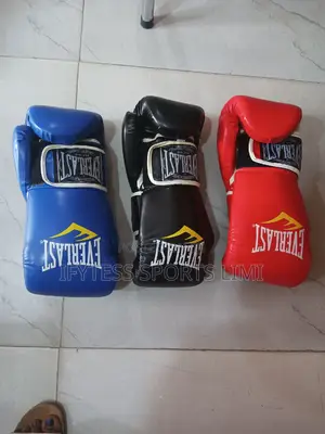 Best Quality Everlast Boxing Gloves
