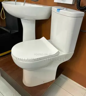 Toilet Seat and Basin Set