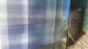 Hurry Up and Repair Your Smart Tv Don't Throw Ur Tv Away
