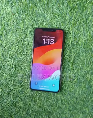 Apple iPhone 11 Pro Max 256 GB Purple