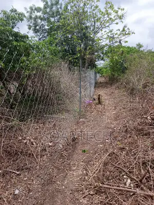 Chain Link Fencing