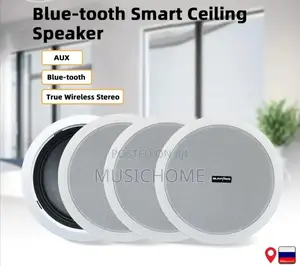 4CH Bluetooth Ceiling Speaker One Active and Passive