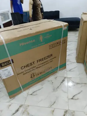 Hisense 297 Liters Chest Freezer | FRZ Fc 390 Sh
