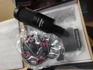 At- 2020 Birdsinger Studio Microphone