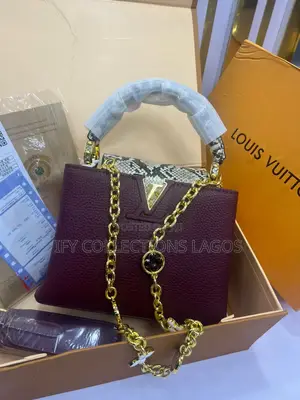 Louis Vuitton Luxury Handbags