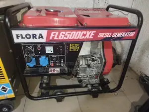 Flora Diesel Generator Copper Coil