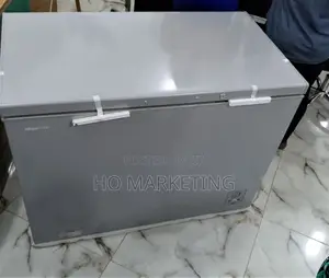Hisense 297 Liters Chest Freezer Silver(FC390SH)