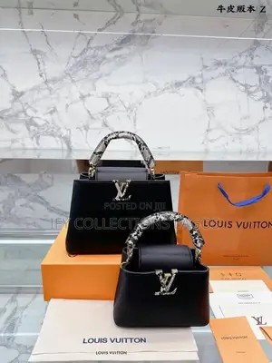 Louis Vuitton Luxury Handbags