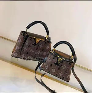 Louis Vuitton Luxury Handbags