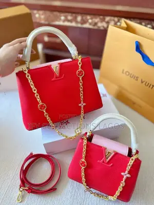 Louis Vuitton Luxury Handbags