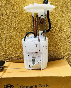 Hyundai and Kia Complete Fuel Pump 