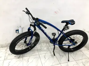 Big Tyre Bicycle Machine
