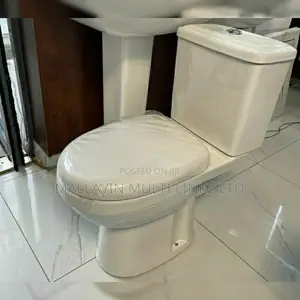 Toilet Seat and Basins