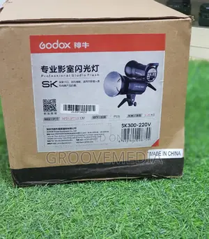 Godox Sk300 Studio Flash With Umbrella Big Light Stand