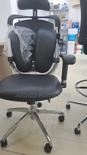 Executive Ergonomic Chair