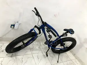 Sturdy Big Bicycle
