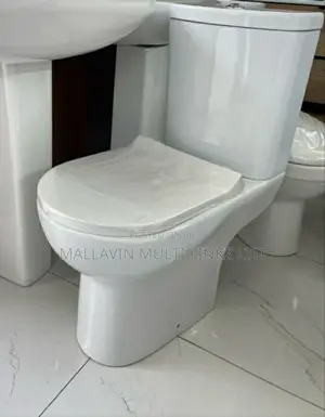 Executive Wc With Pedestal Basins