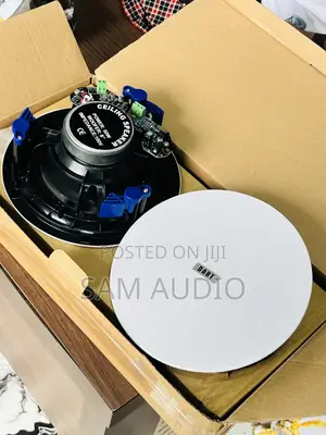 Dart Frameless Ceiling Speaker 50watts Two in One