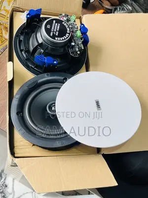 Two in One Dart Ceiling Speaker 50watts