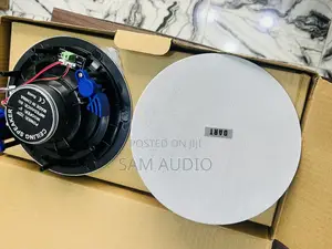 Two in 1 Ceiling Speaker