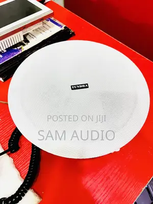 Tundra 60watts Frameless Ceiling Speaker