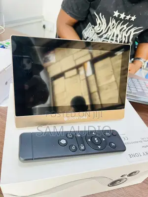 Alexa Inwall Amplifier for Ceiling Speaker