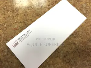 Business Envelope Design