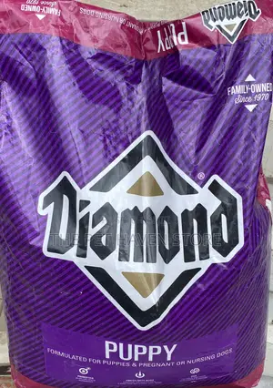 Diamond Puppy