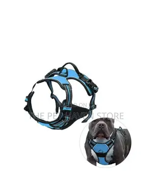 Body Harness