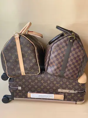 Louis Vuitton Luxury Quality Combo Bags