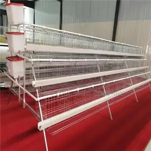 96 Layers Durable A-type Battery Cage: 20+ Years Lifespan!