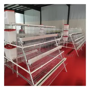 Long-lasting Bird Cage: 96 Capacity, 20+ Years Lifespan