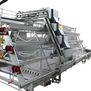 Fully Automated System for Layers Per Set 120 Birds