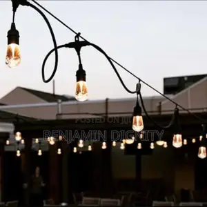 Lampholder Bulbs
