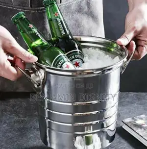 Stainless Ice Bucket