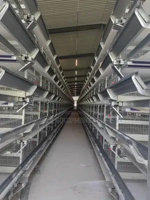 Smart and Fully Automated System Per Set 120 Birds