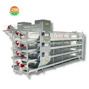Automated 120 Battery Cage System: Feeding to Egg Picking