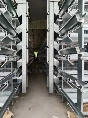 Complete Automated 160 Cage System: Feeding to Cleaning