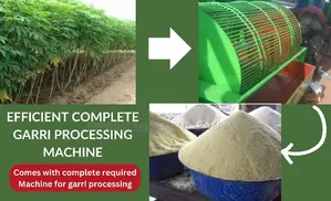 High Speed Garri Processing Machine: 200kg/Hr