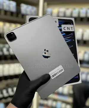 Apple iPad Pro 11 (2022) 128 GB Gray