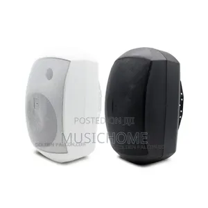Fashion Wall Mount Speakers With Hanger