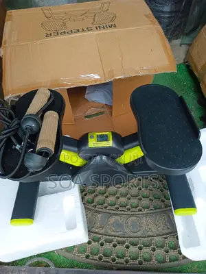Heavy Duty Mini Stepper