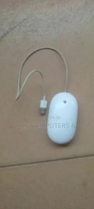 Apple Mouse