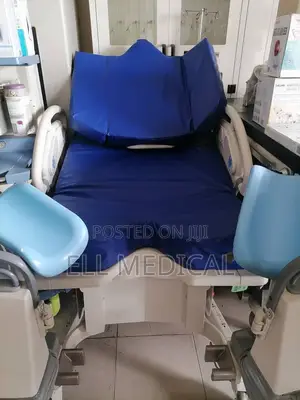 Electric Delivery Bed