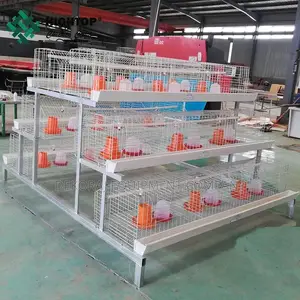 Imported 300 Broiler Chicken High Profits, Chicken Feeders