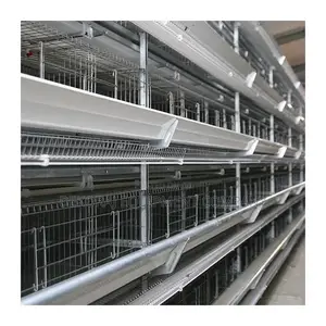 Automated Battery Cage: Feeding, Egg Picking, Cleaning